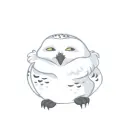 snow owl