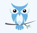 blue owl