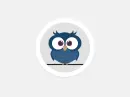 blue owl