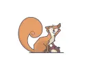 squirrel