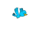 blue bird