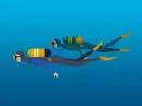 divers