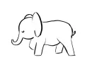 elephant