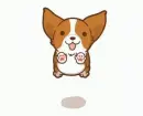 dog jumping