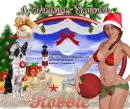 Robbie -A Christmas Summer
