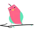 color bird