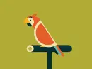 color parrot