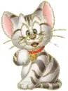 cat