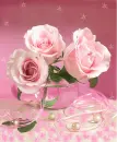 pink rosas