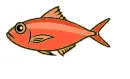red fish