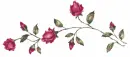 red rosa