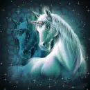 unicornis