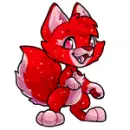 red fox