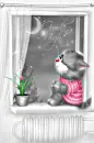 grey cat