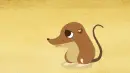 brown rodent