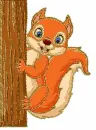 squirrel