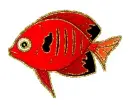 red fish