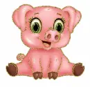 pig