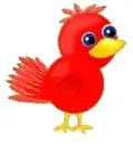 red bird