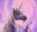 unicornis
