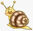 snail