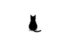 black cat