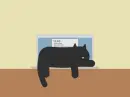 black cat