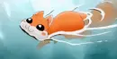 squirrel swimming
