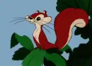 squirrel