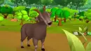 mammal