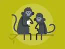 black spider monkeys