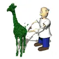 bush clipping