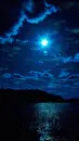 blue night