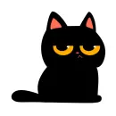 black cat