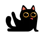 black cat