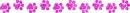 paw prints divider