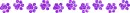 paw prints divider