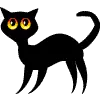 black cat