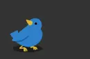 blue bird