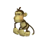 monkey