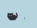 black cat