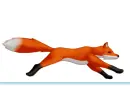 running fox