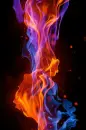 colours