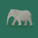 grey elephant