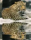 panther