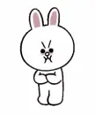 grumpy bunny