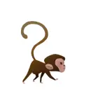 going monkey