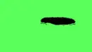 mole