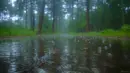 rain