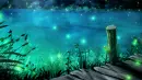 night